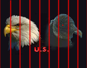 U.S. eagle looking like a vulture